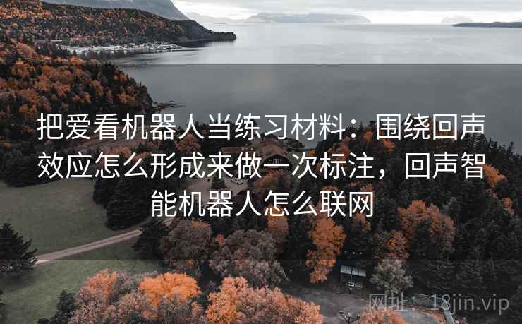 把爱看机器人当练习材料:围绕回声效应怎么形成来做一次标注,回声智能机器人怎么联网