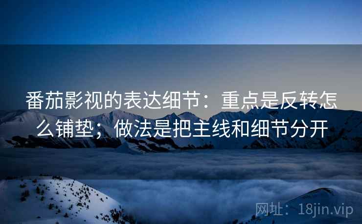 番茄影视的表达细节：重点是反转怎么铺垫；做法是把主线和细节分开